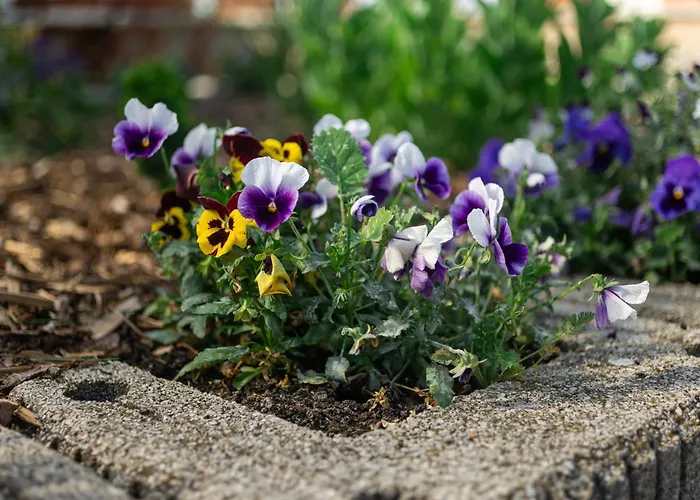 Hotel Rooftop With Underground Parking 3*