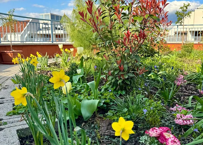 Rooftop With Underground Parking Hotel